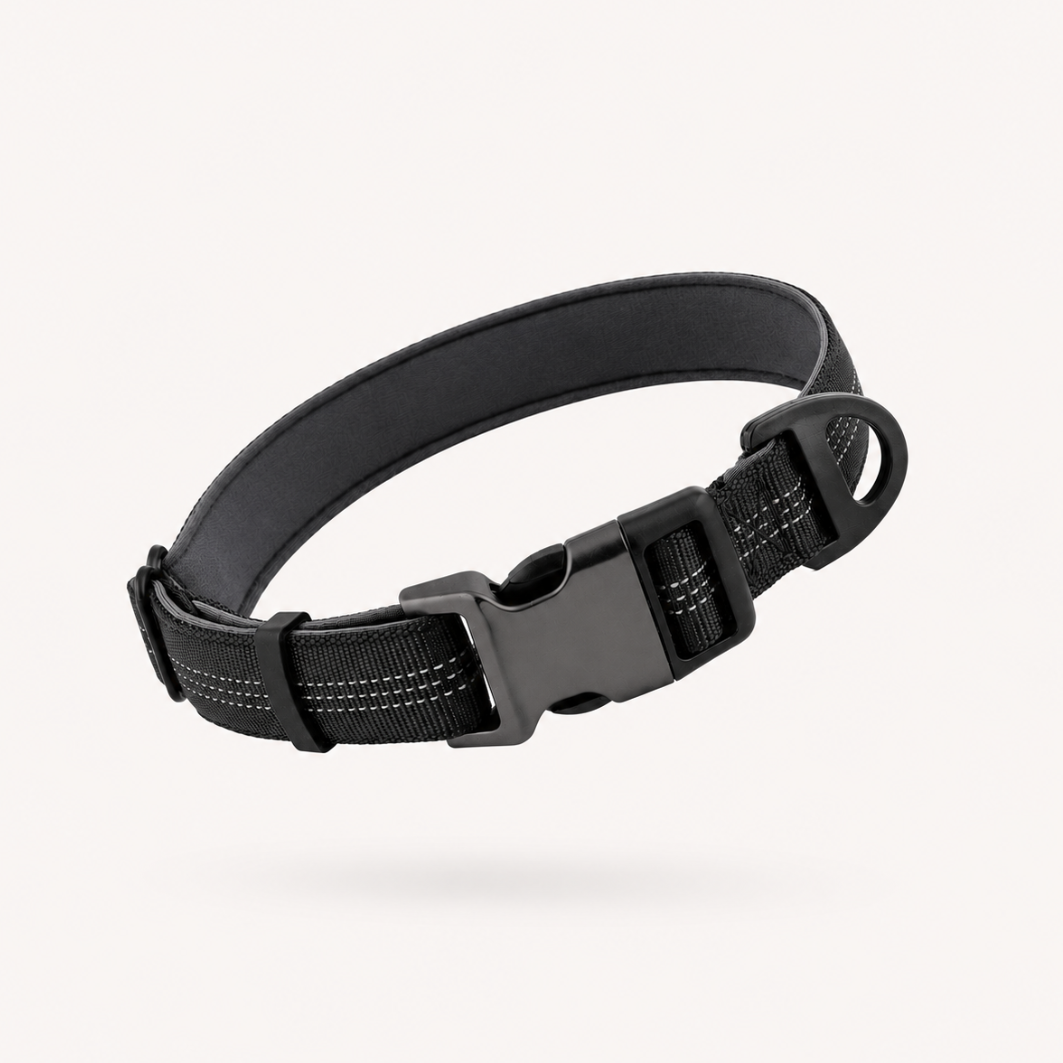 SinTirones Collar Essenciales