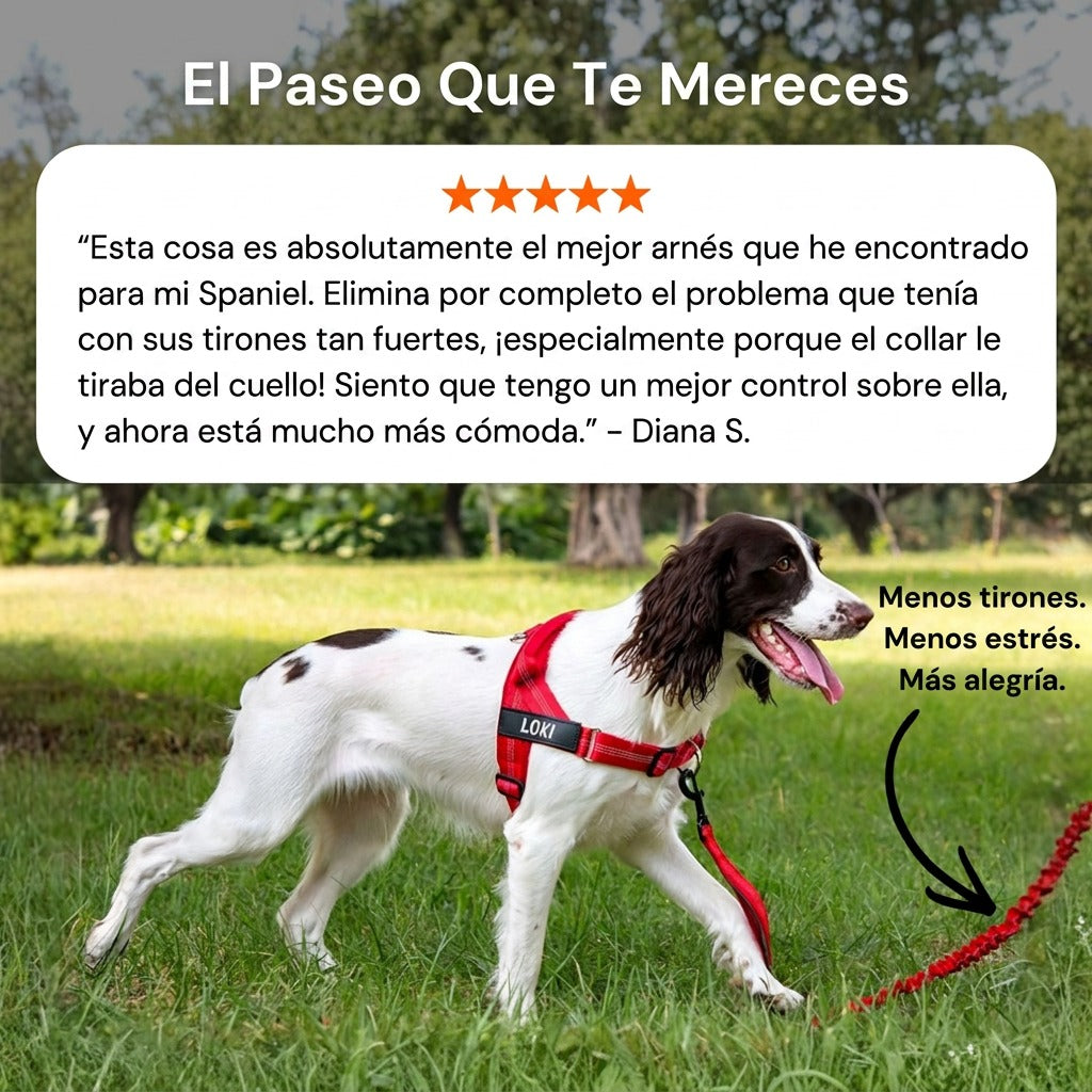 Arnés Sin Tirones para Perros
